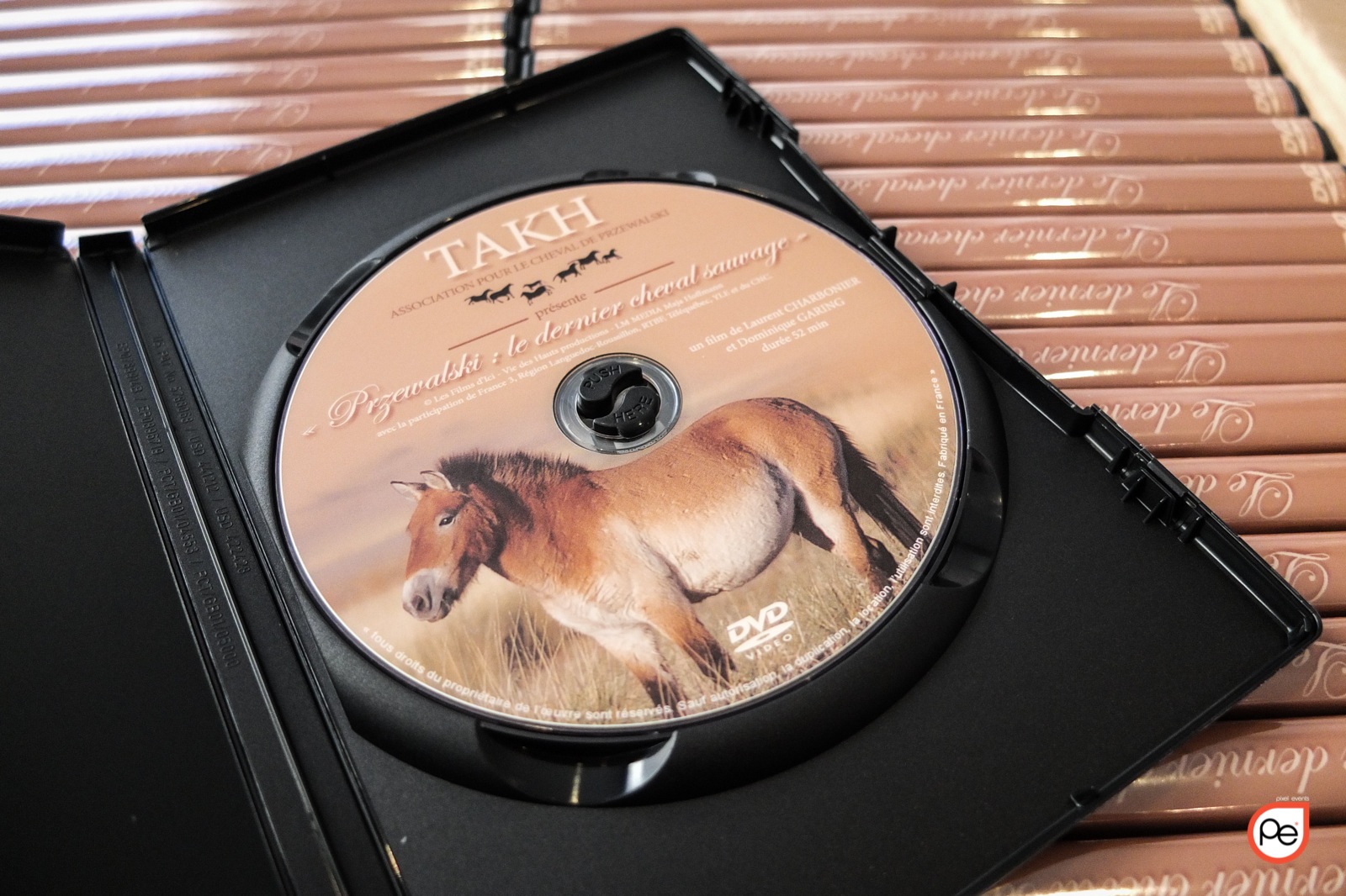 Duplication de DVD pour l’Association Takh pour le cheval de Przewalski