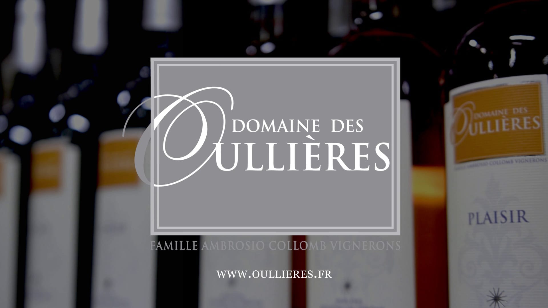 Film événement // Dégustation de vin au Domaine des Oullières